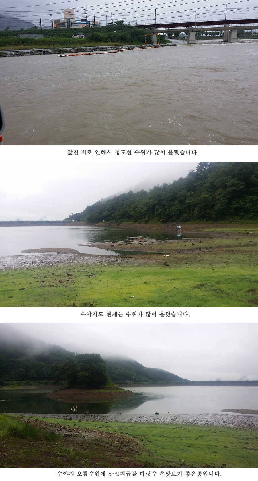 청도권 오름수위 빵빵터집니다 (조황조행기 - 특파원조황)