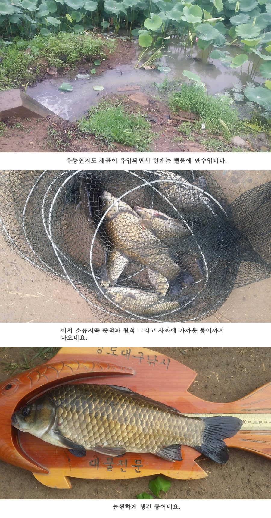 청도권 오름수위 빵빵터집니다 (조황조행기 - 특파원조황)