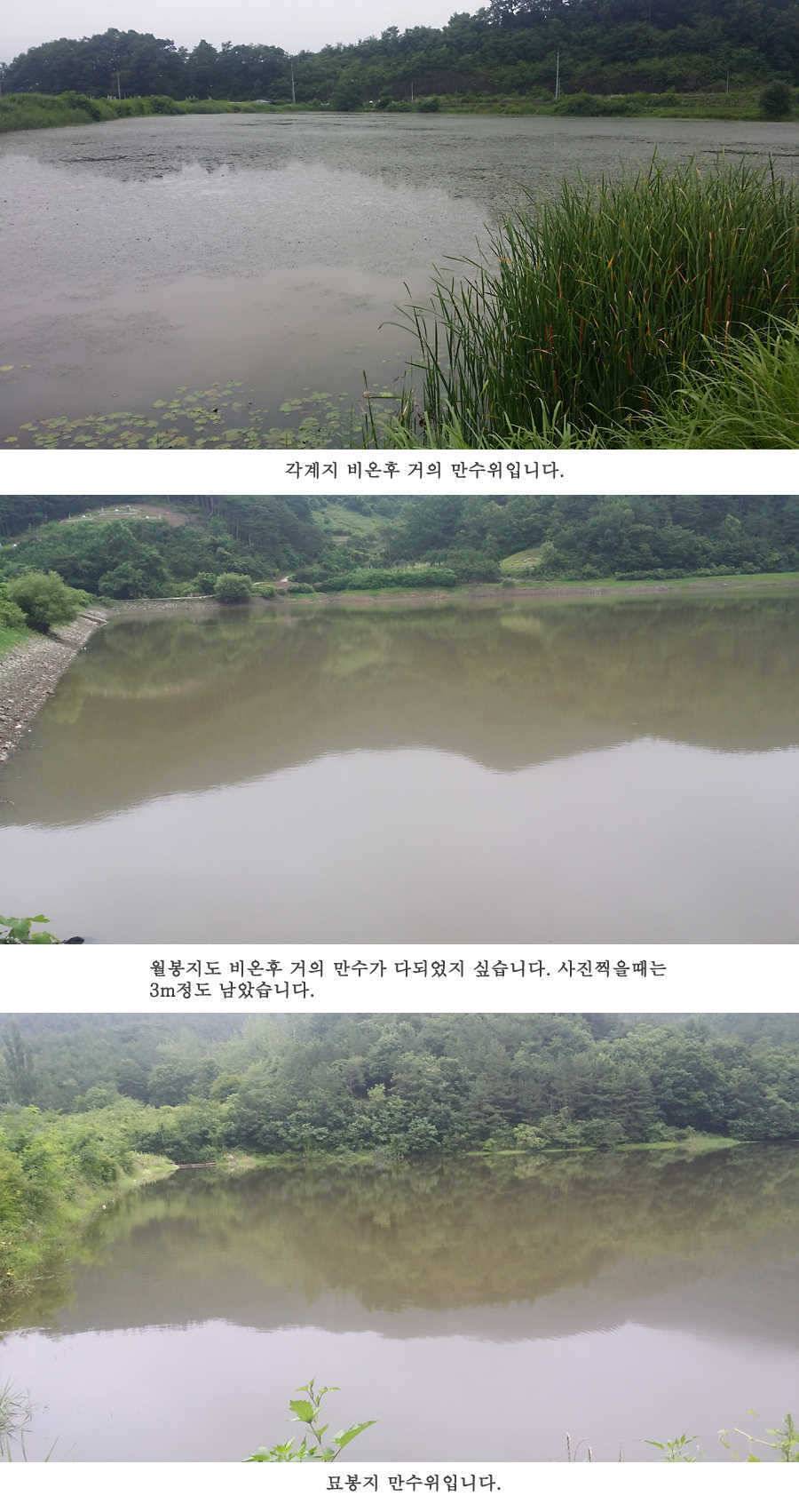 청도권 오름수위 빵빵터집니다 (조황조행기 - 특파원조황)