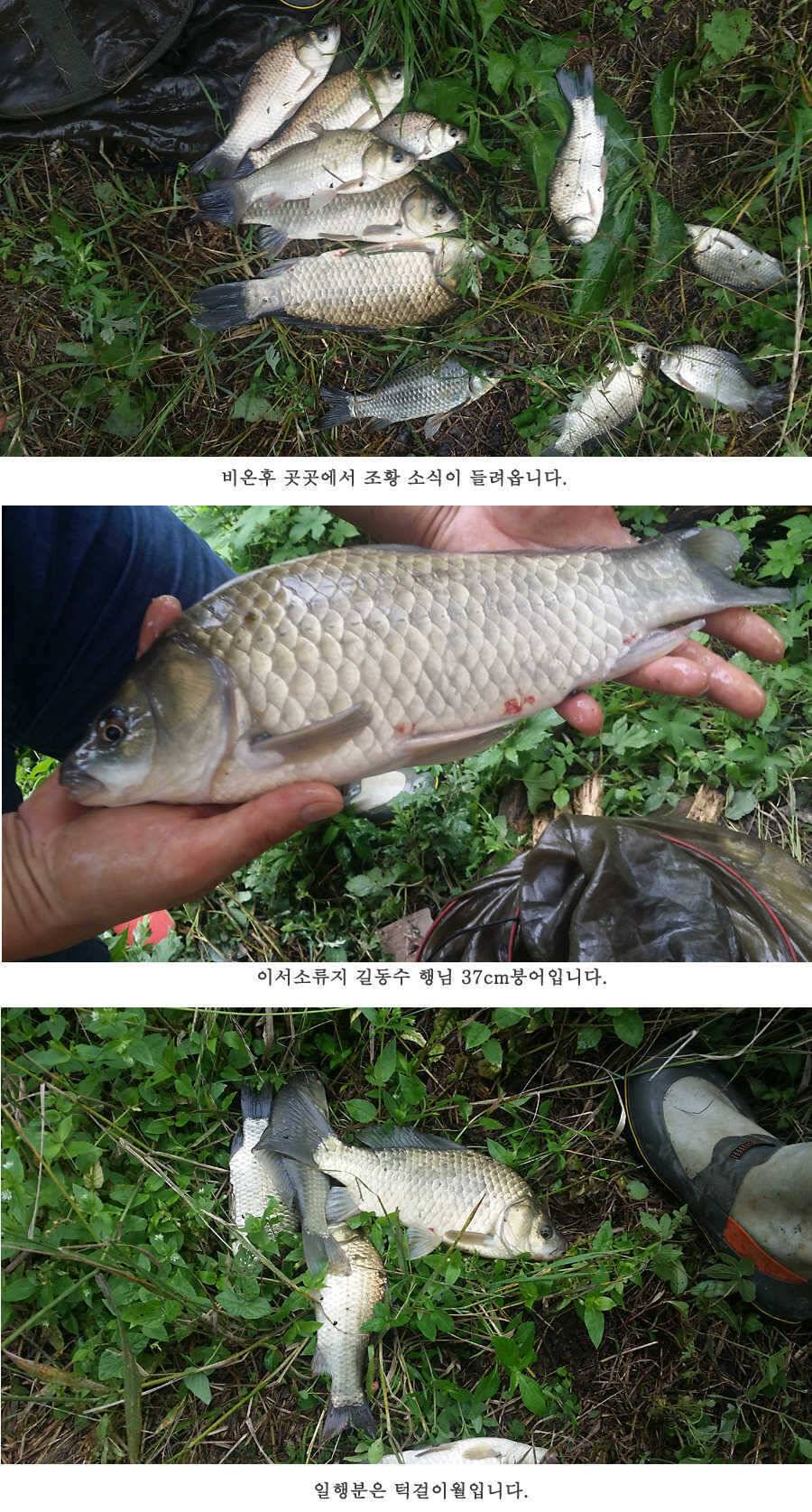 청도권 오름수위 빵빵터집니다 (조황조행기 - 특파원조황)
