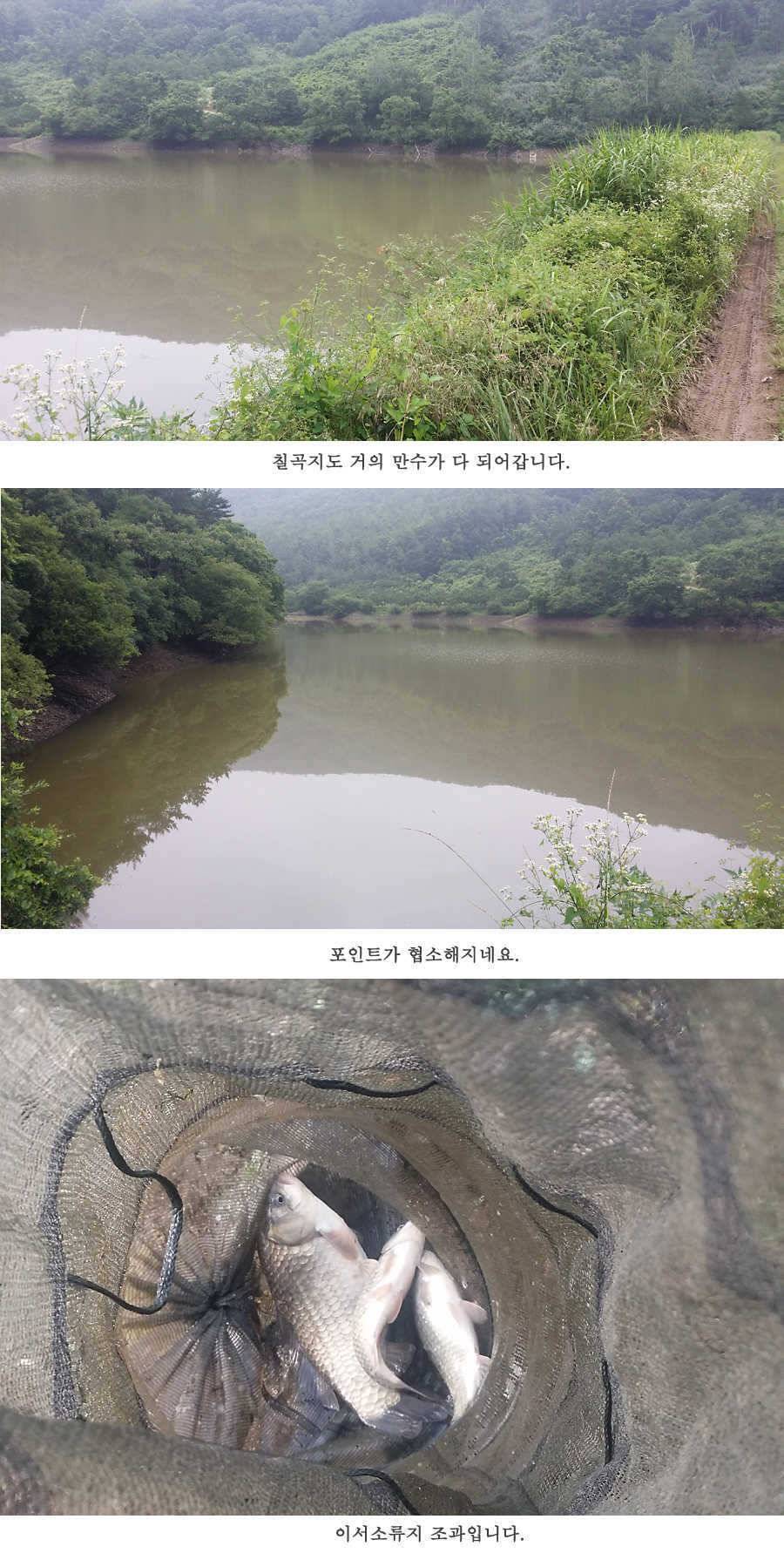 청도권 오름수위 빵빵터집니다 (조황조행기 - 특파원조황)