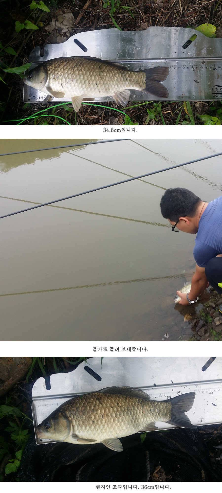 청도권 오름수위 빵빵터집니다 (조황조행기 - 특파원조황)