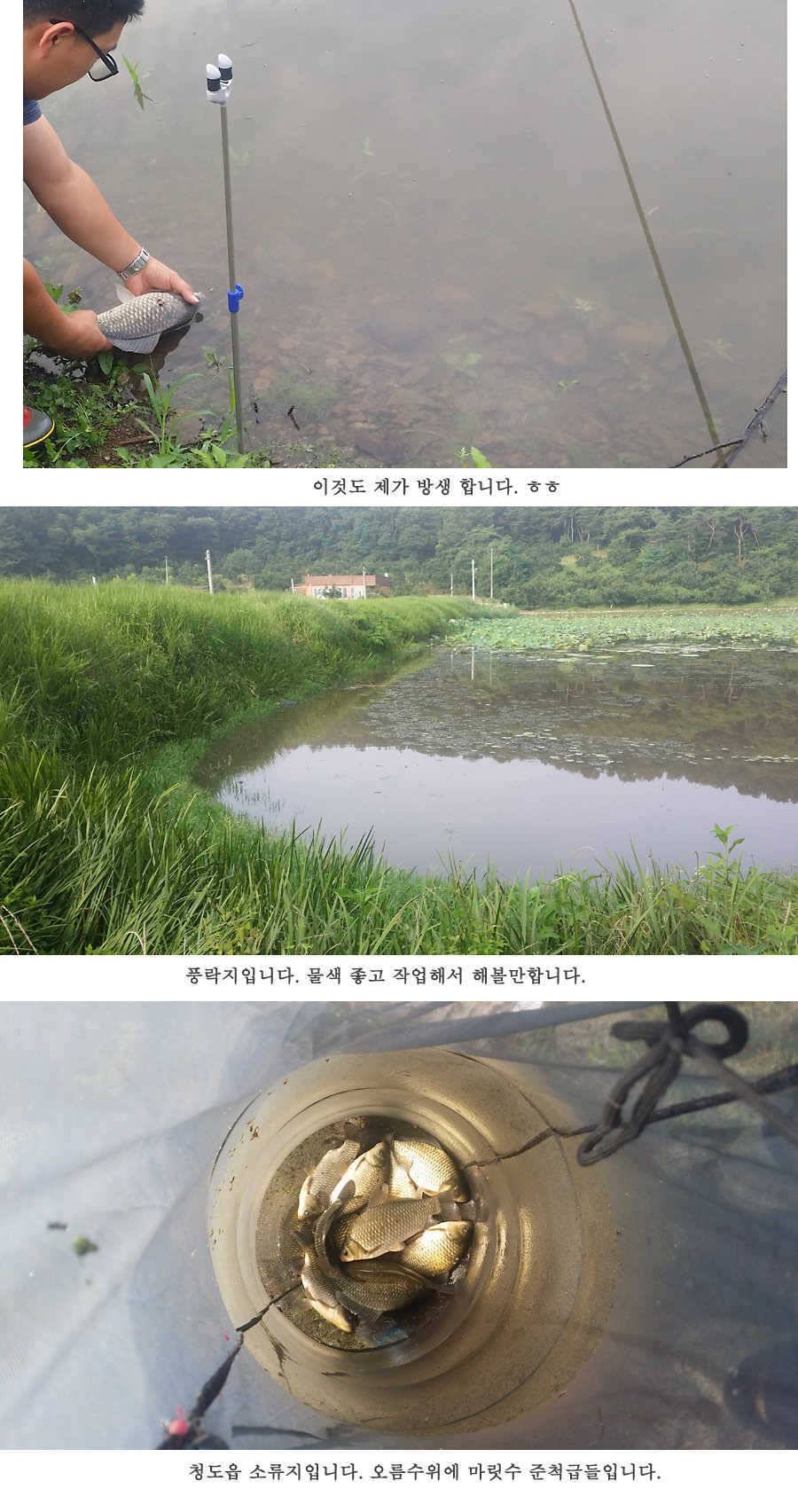 청도권 오름수위 빵빵터집니다 (조황조행기 - 특파원조황)