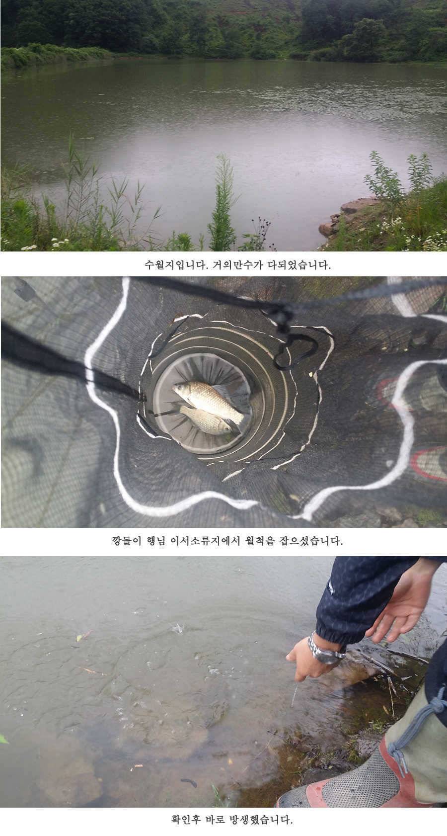 청도권 오름수위 빵빵터집니다 (조황조행기 - 특파원조황)