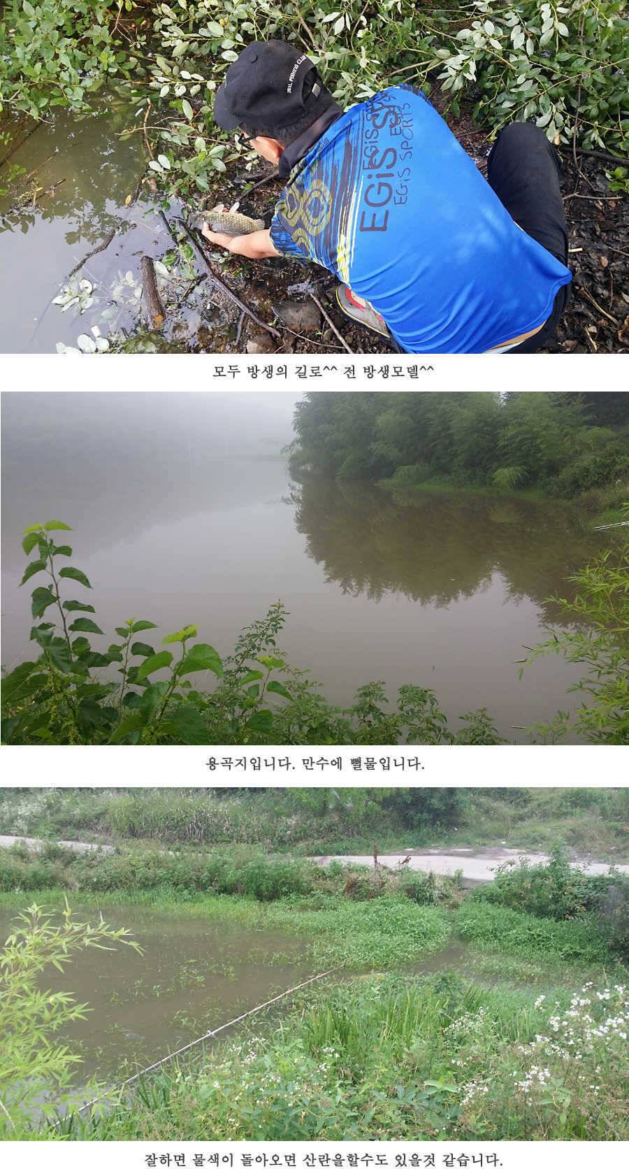 청도권 오름수위 빵빵터집니다 (조황조행기 - 특파원조황)