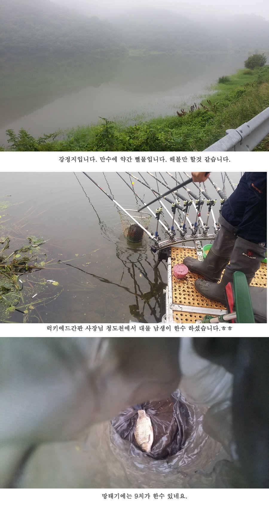 청도권 오름수위 빵빵터집니다 (조황조행기 - 특파원조황)