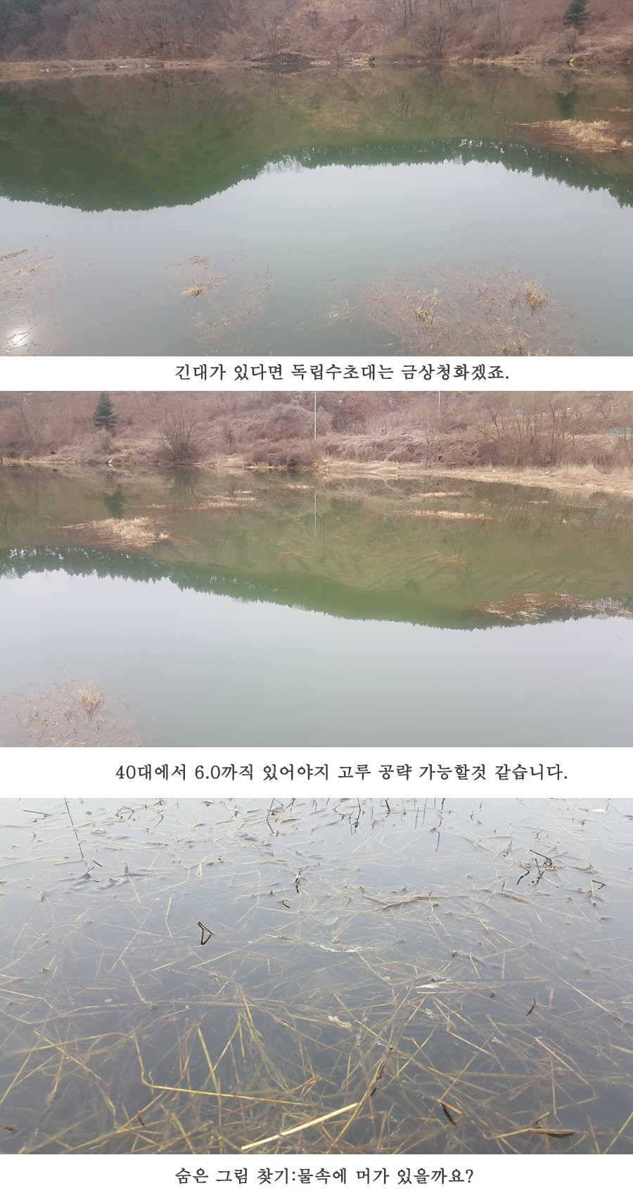 청도권 3월 3째주 조황 (조황조행기 - 특파원조황)
