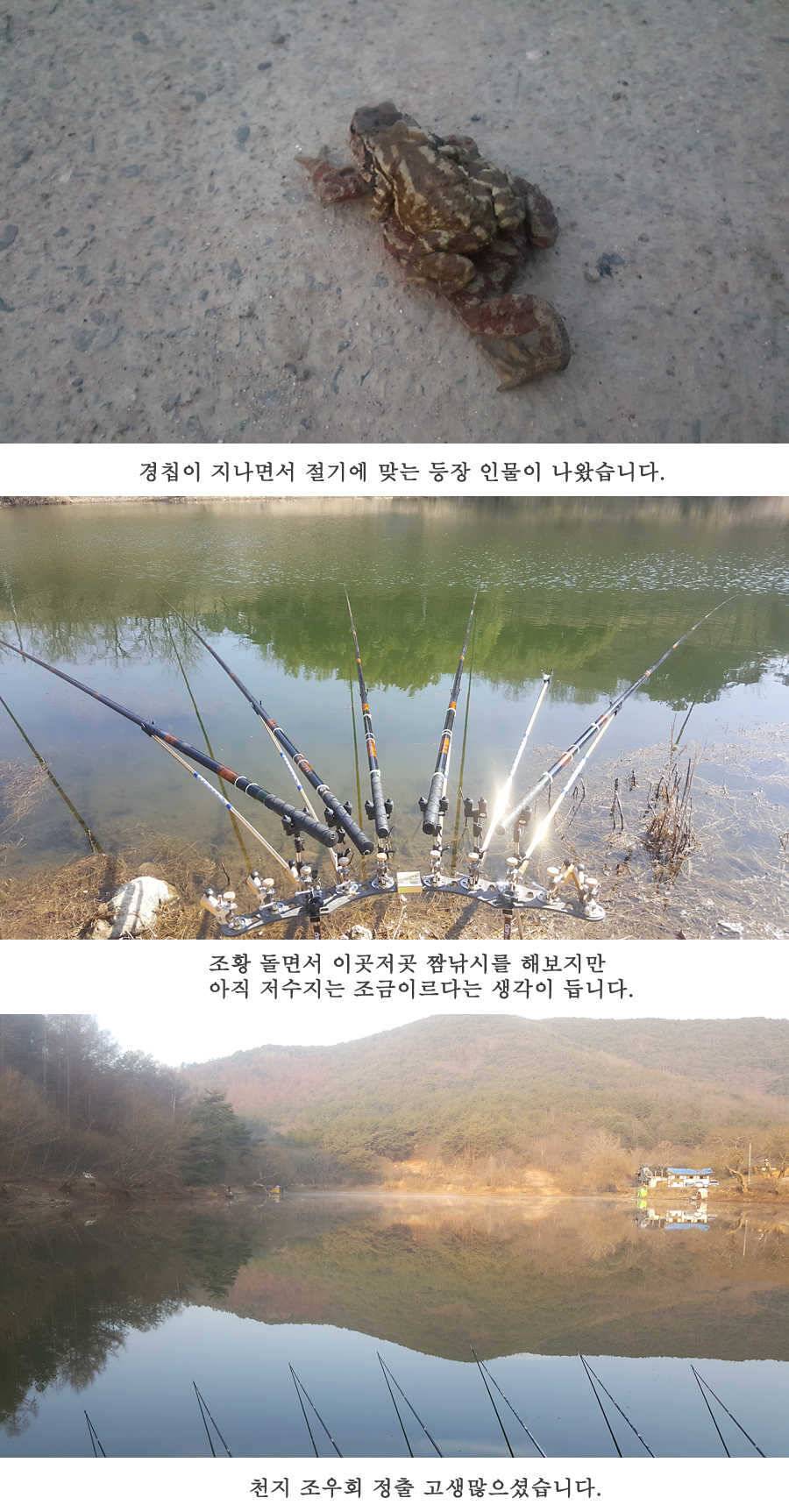 청도권 3월 3째주 조황 (조황조행기 - 특파원조황)