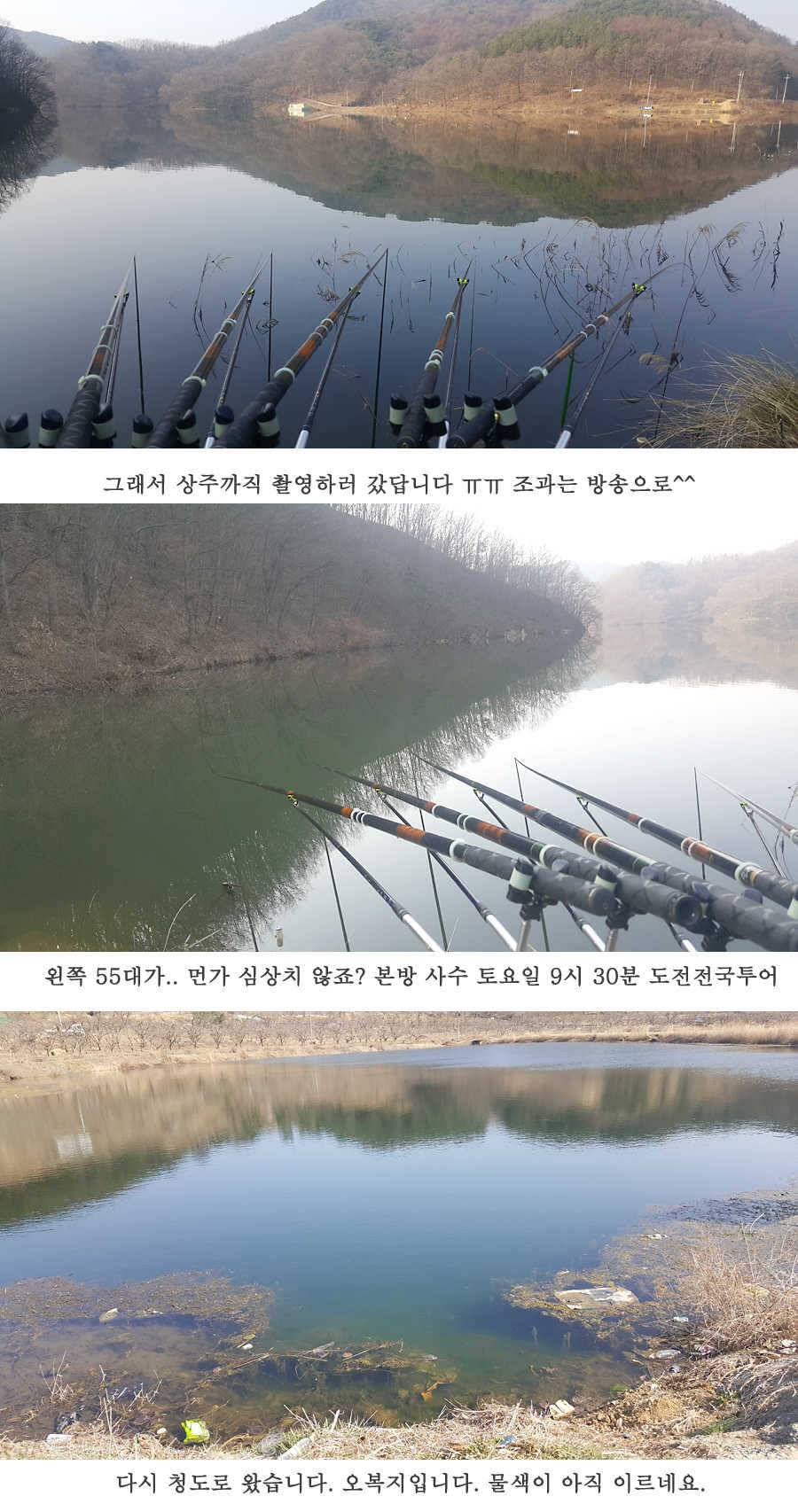 청도권 3월 3째주 조황 (조황조행기 - 특파원조황)