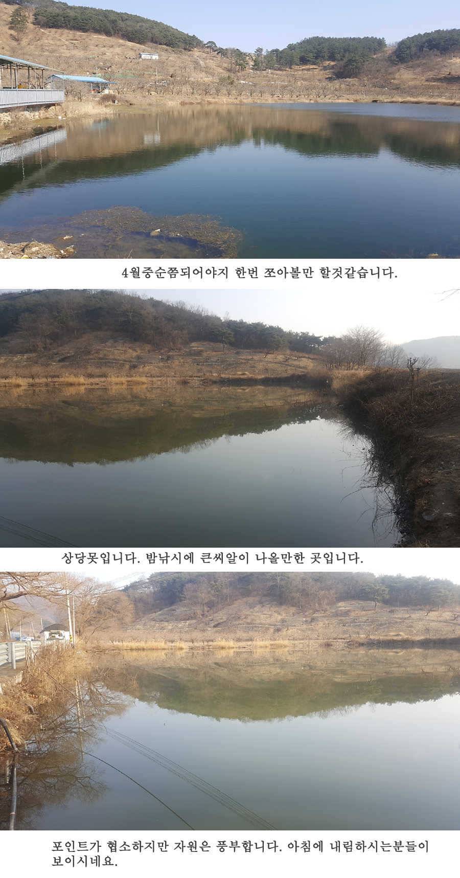 청도권 3월 3째주 조황 (조황조행기 - 특파원조황)