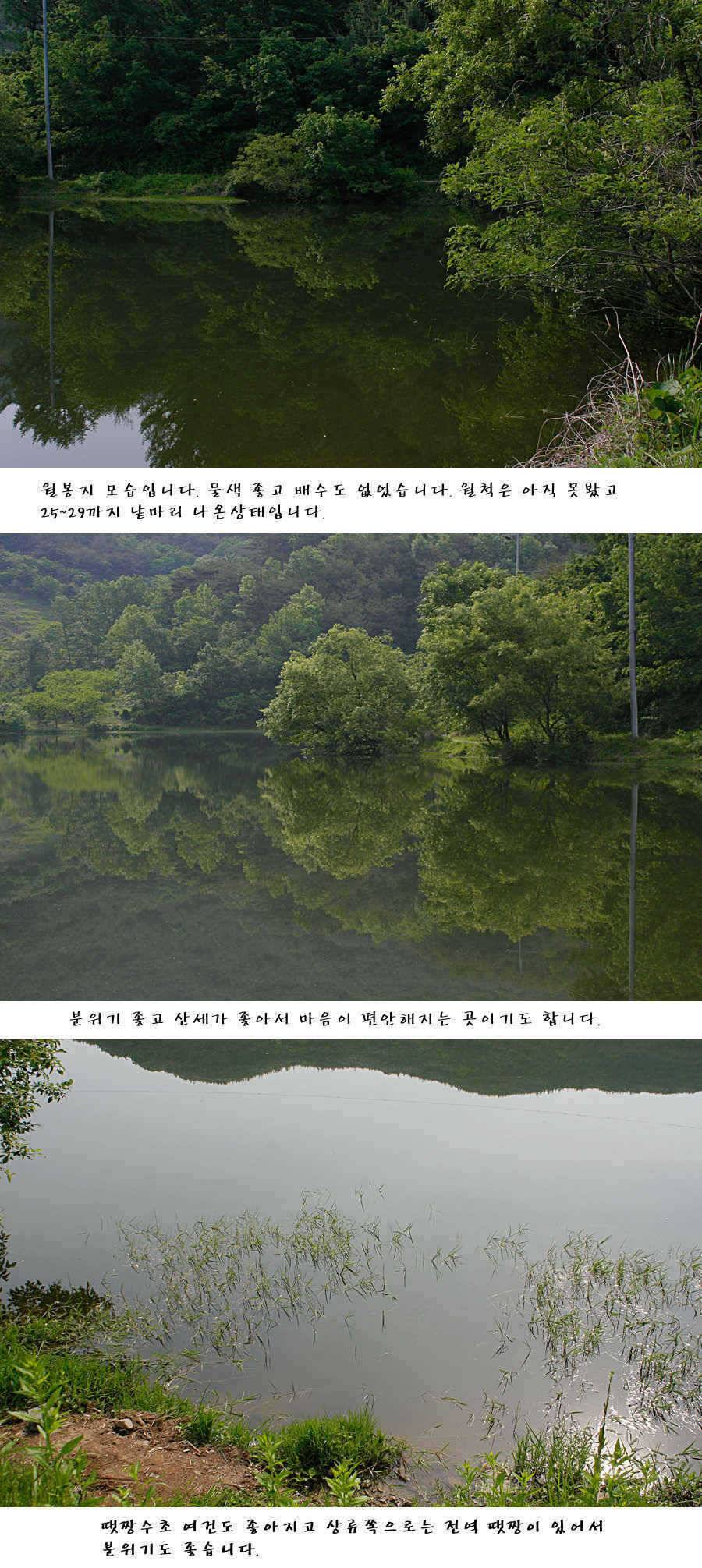 청도권주말 주중 조황 (조황조행기 - 특파원조황)