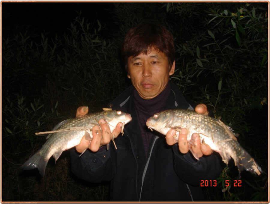 진위천 소식 (조황조행기 - 특파원조황)