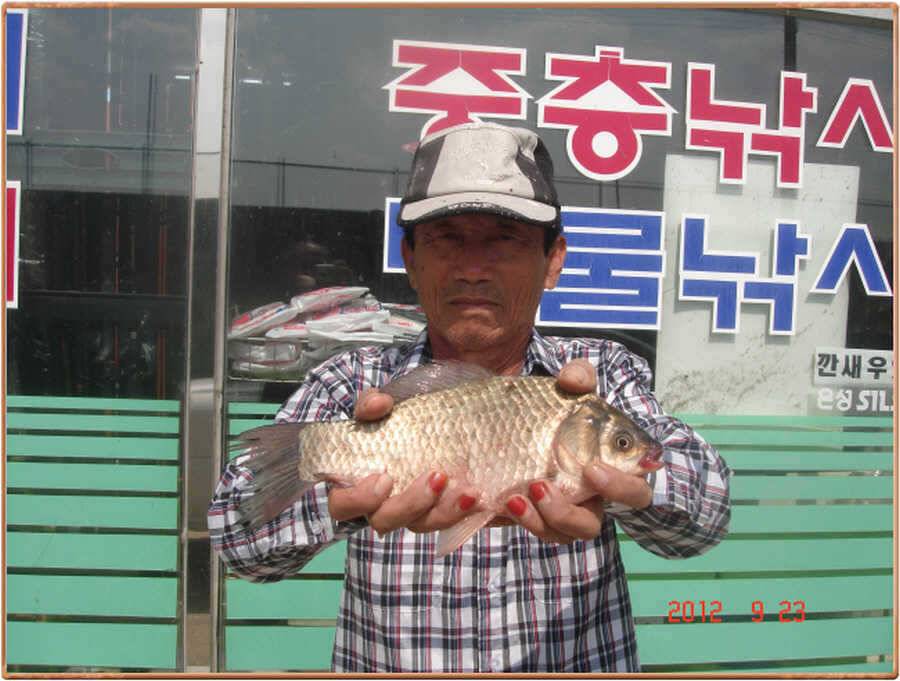 진위천의 가을 소식 (조황조행기 - 특파원조황)