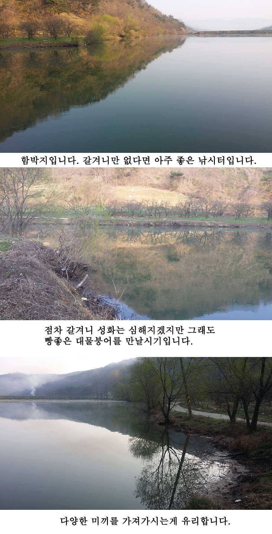청도권 지난주 조황 (조황조행기 - 특파원조황)