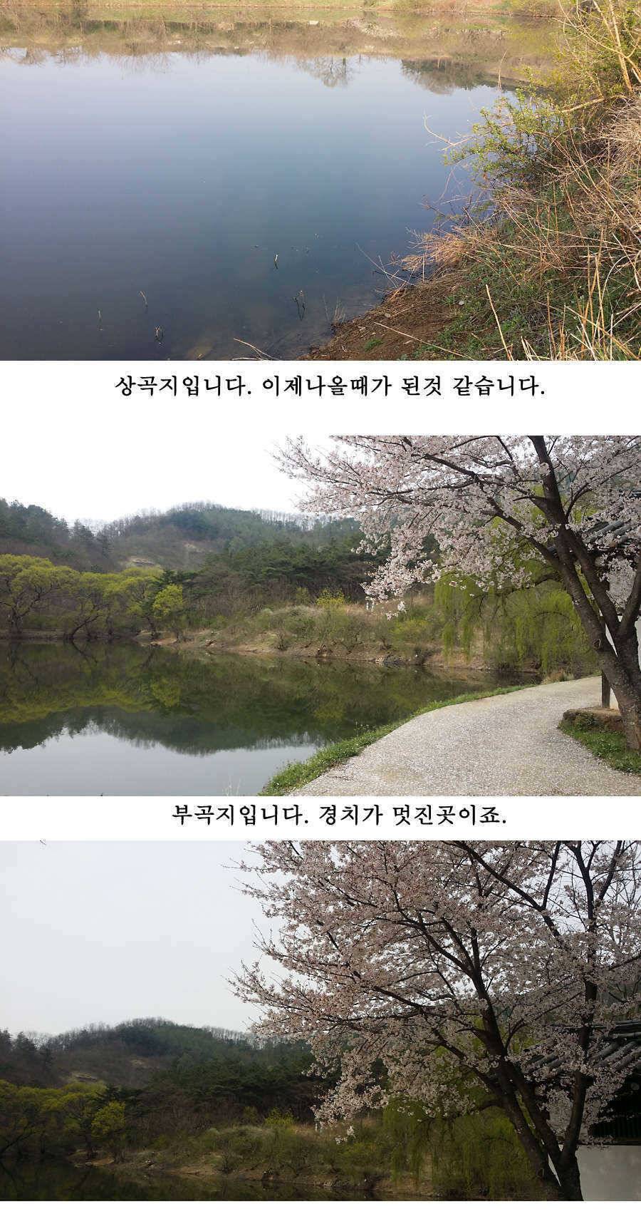 청도권 지난주 조황 (조황조행기 - 특파원조황)