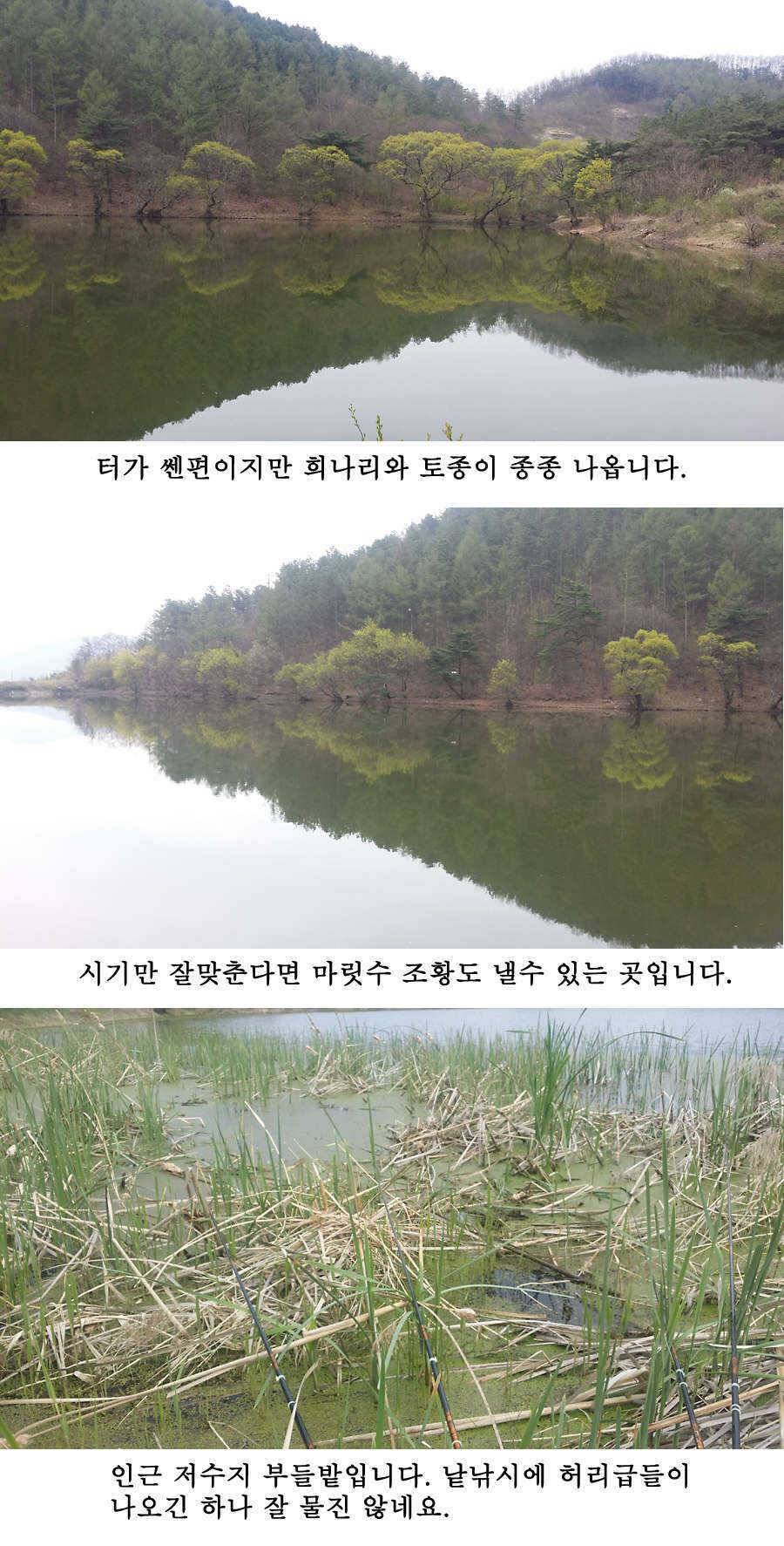 청도권 지난주 조황 (조황조행기 - 특파원조황)