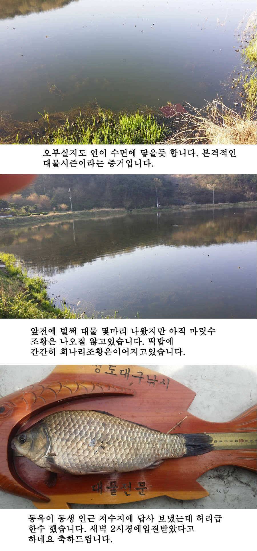 청도권 지난주 조황 (조황조행기 - 특파원조황)