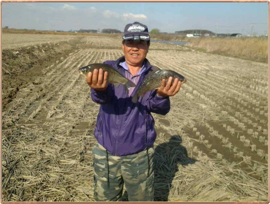 진위천 조황 소식 (조황조행기 - 특파원조황)