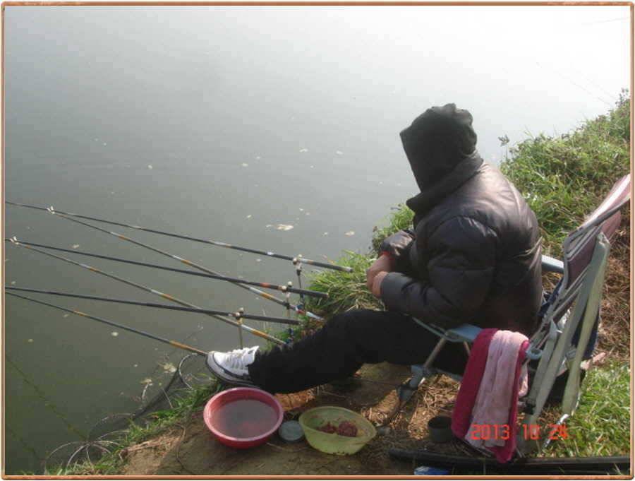 진위천 조황 소식 (조황조행기 - 특파원조황)