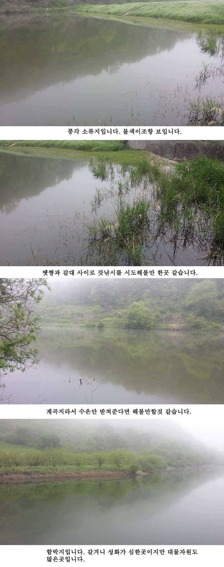 지난주 청도권 대물 대박 터지네요 (조황조행기 - 특파원조황)