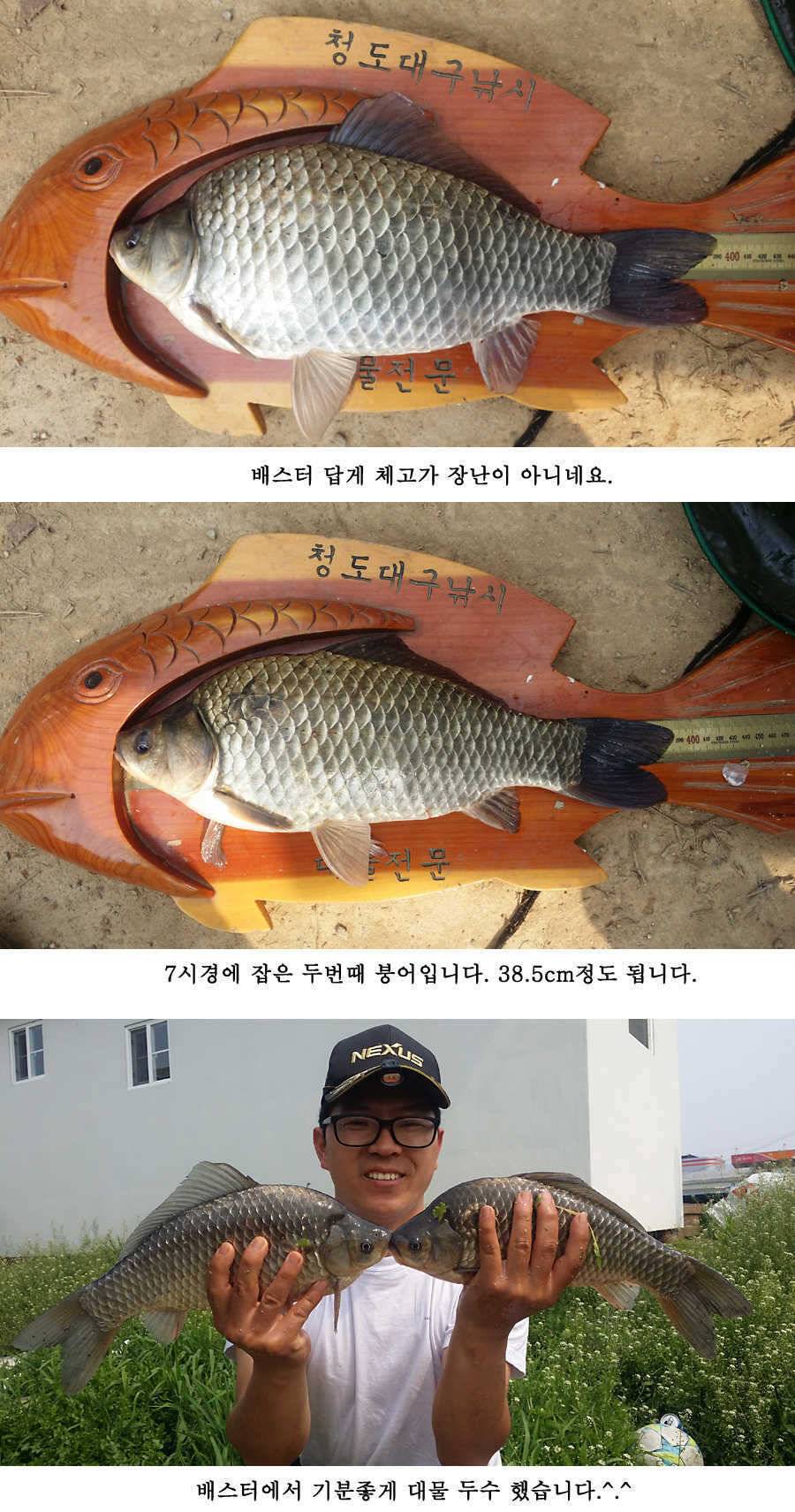 지난주 청도권 대물 대박 터지네요 (조황조행기 - 특파원조황)