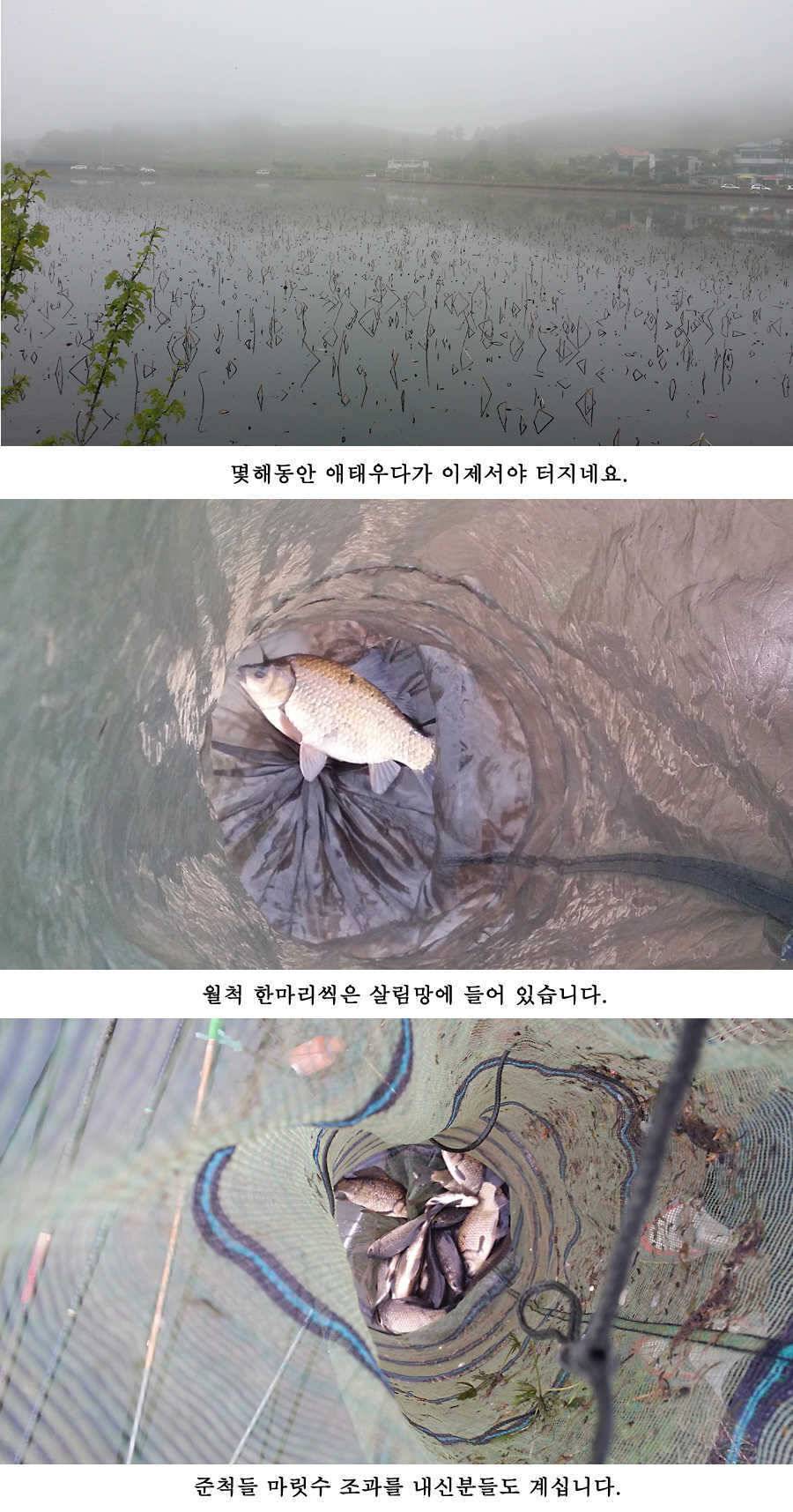 지난주 청도권 대물 대박 터지네요 (조황조행기 - 특파원조황)