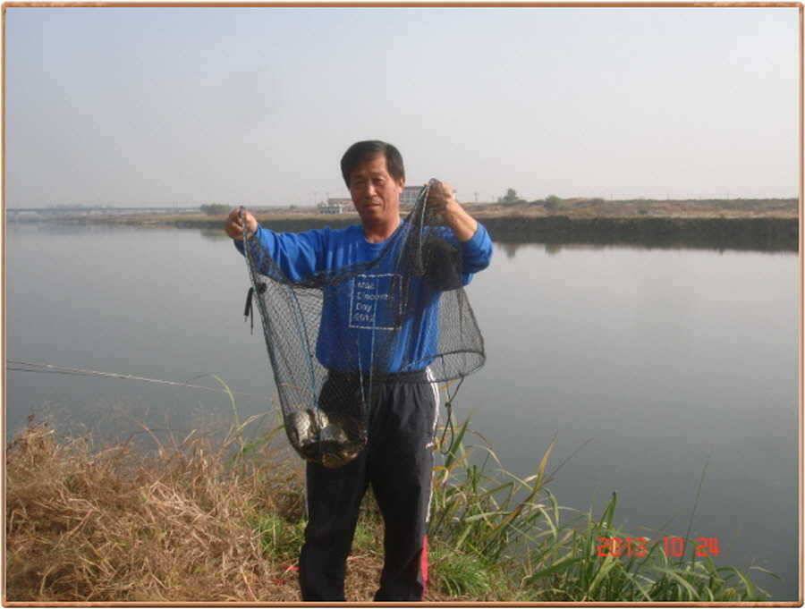 진위천 조황 소식 (조황조행기 - 특파원조황)