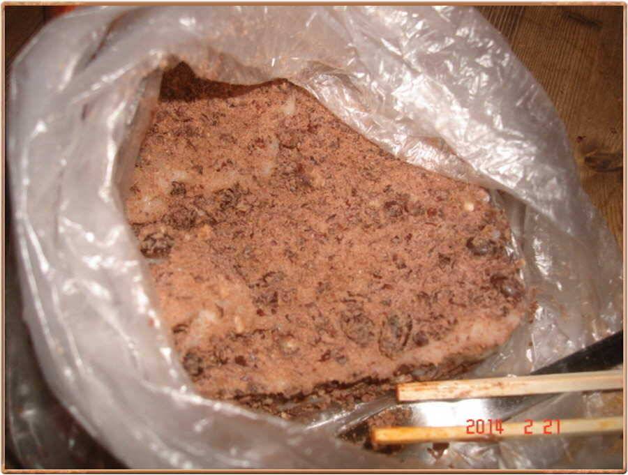 진위천 조황 소식 (조황조행기 - 특파원조황)