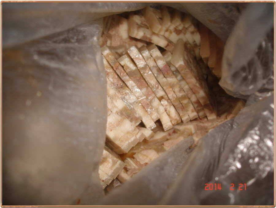 진위천 조황 소식 (조황조행기 - 특파원조황)