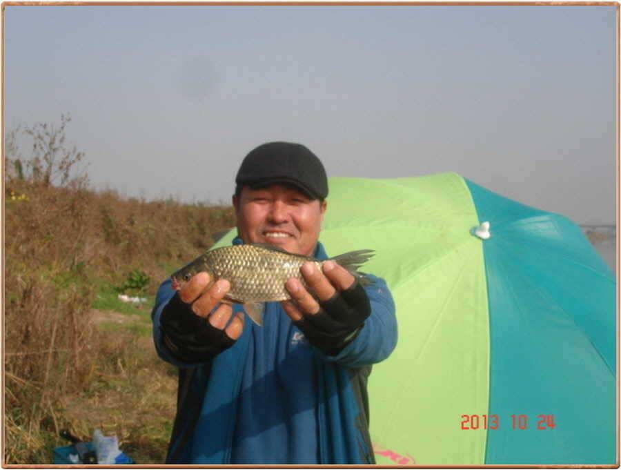 진위천 조황 소식 (조황조행기 - 특파원조황)