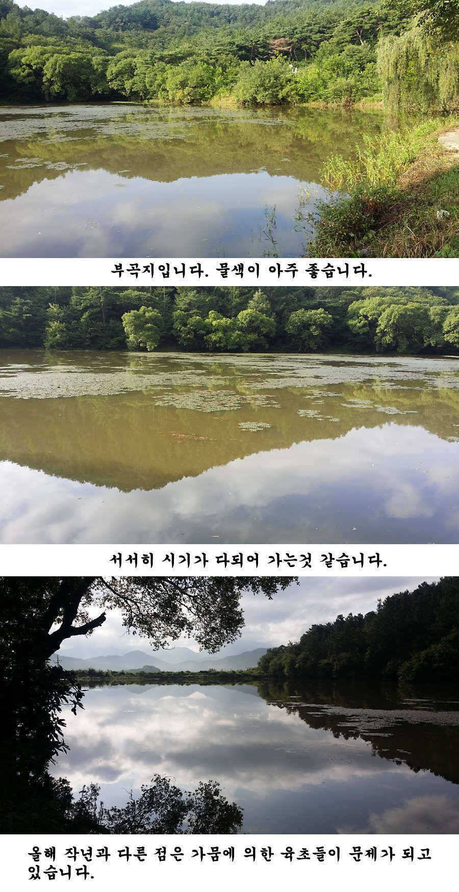 지난 청도권 조황입니다 (조황조행기 - 특파원조황)