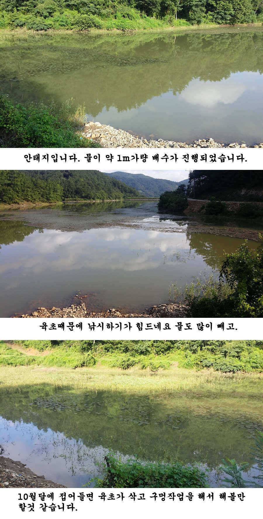 지난 청도권 조황입니다 (조황조행기 - 특파원조황)