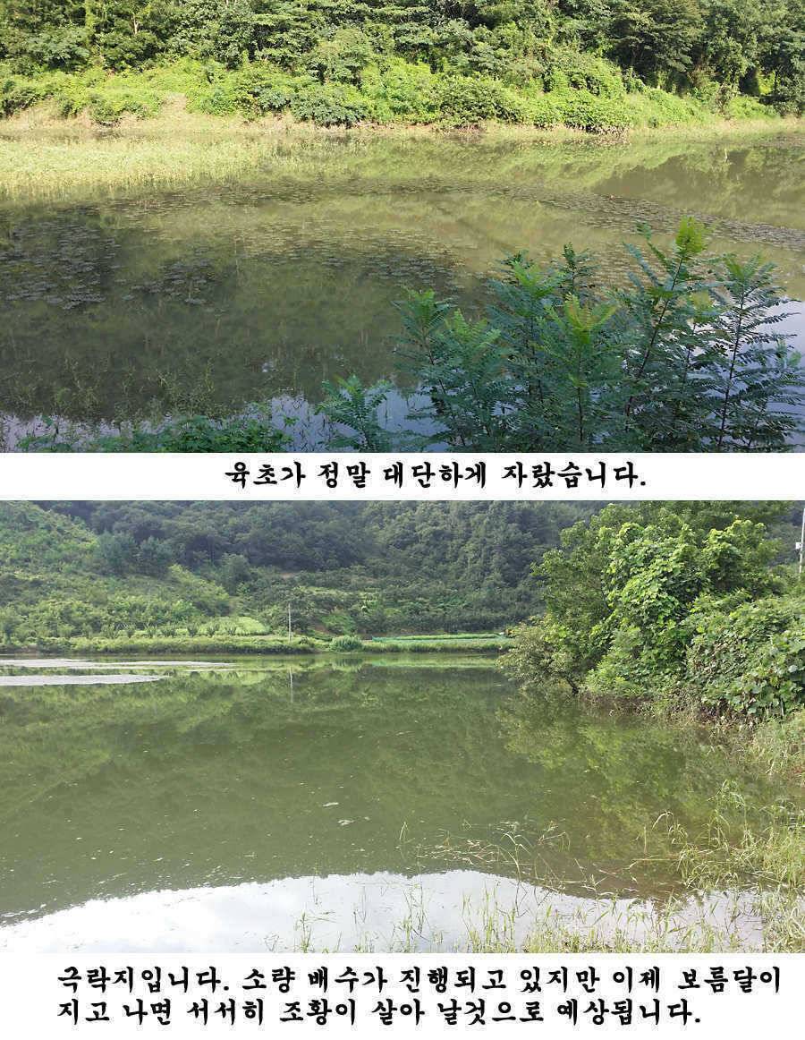 지난 청도권 조황입니다 (조황조행기 - 특파원조황)