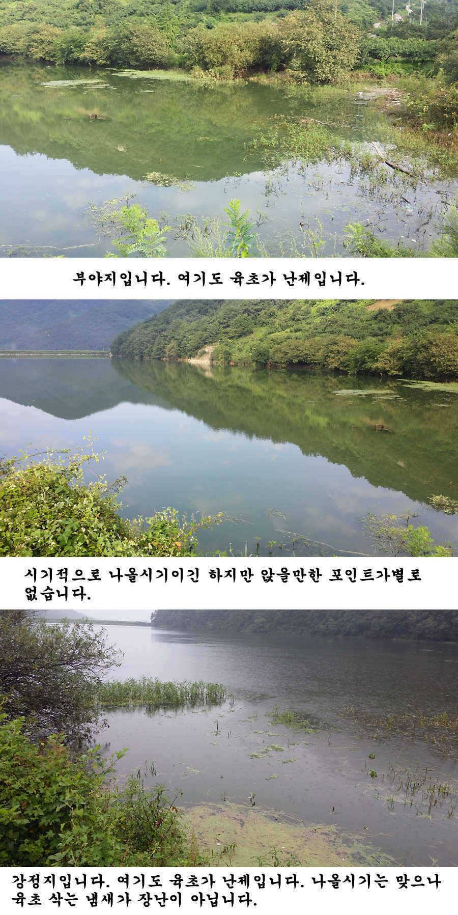 지난 청도권 조황입니다 (조황조행기 - 특파원조황)