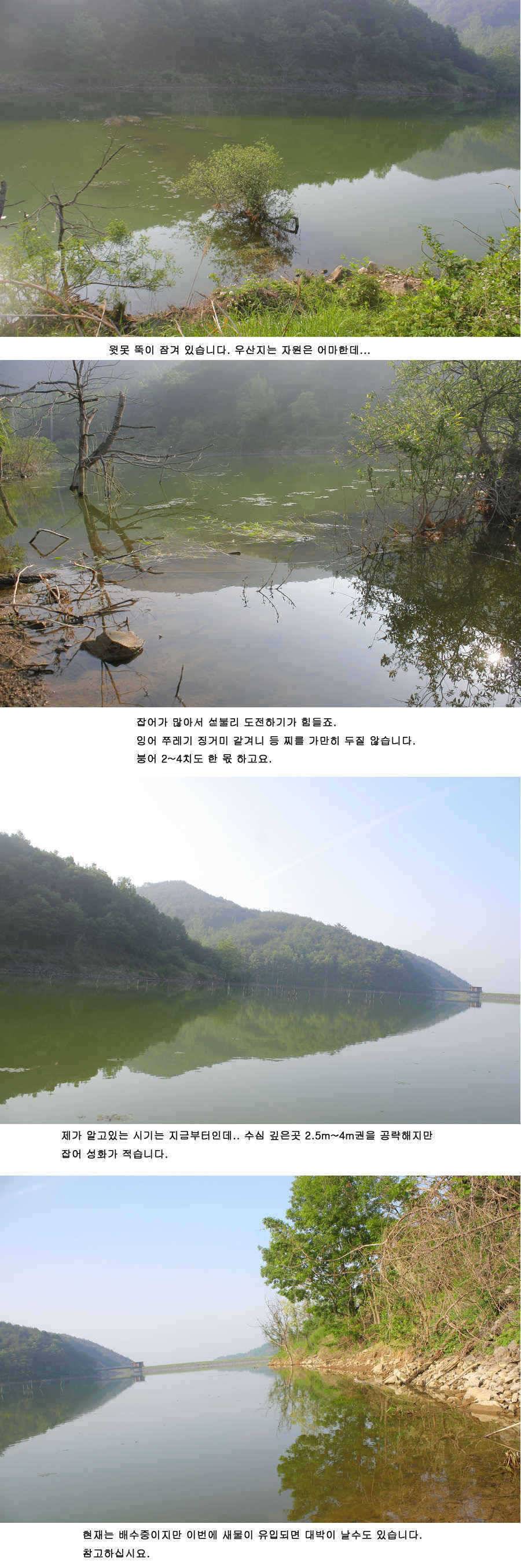 청도권 주말 조황 (조황조행기 - 특파원조황)