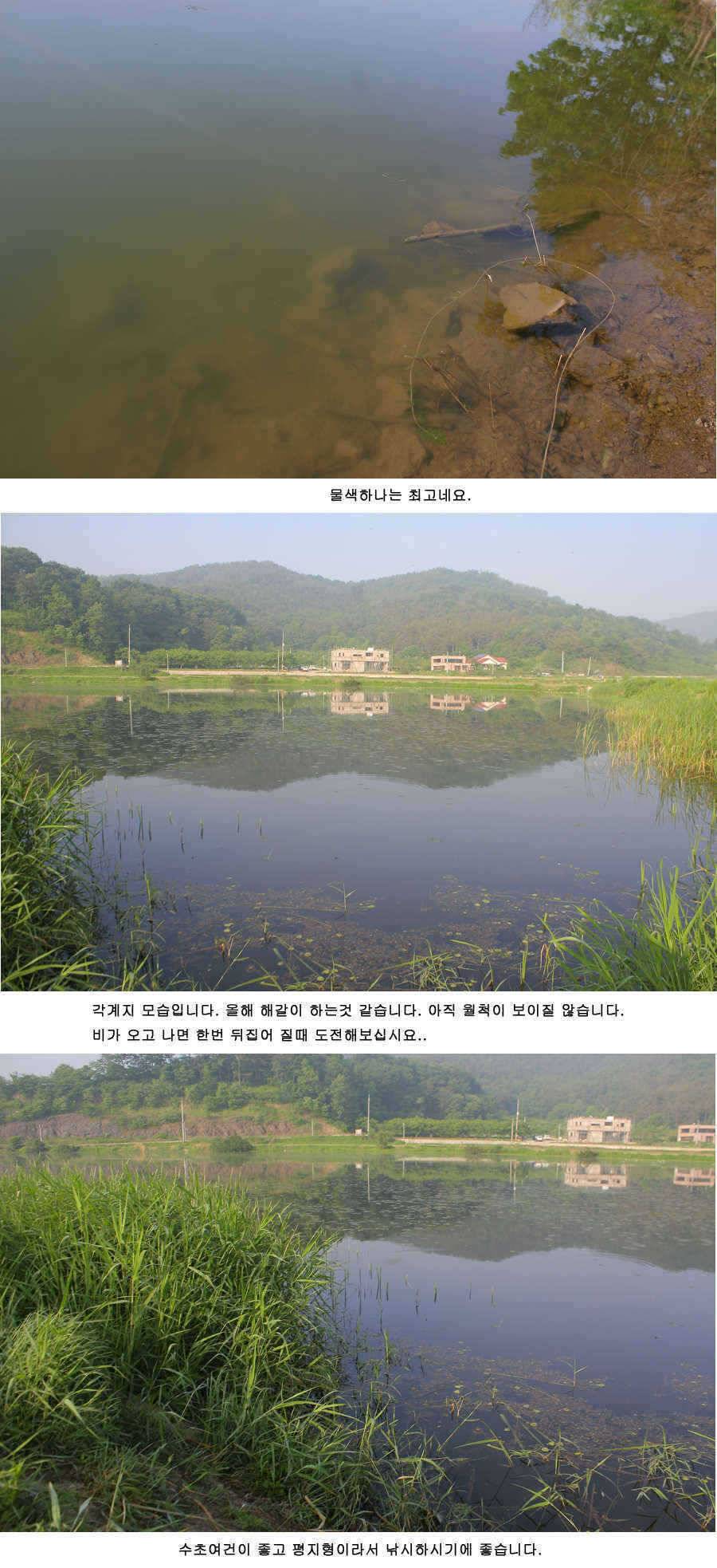 청도권 주말 조황 (조황조행기 - 특파원조황)