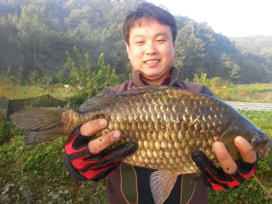 청도권 주중 조황 (조황조행기 - 특파원조황)
