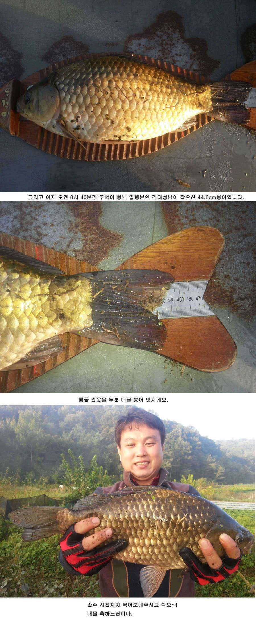 청도권 주중 조황 (조황조행기 - 특파원조황)