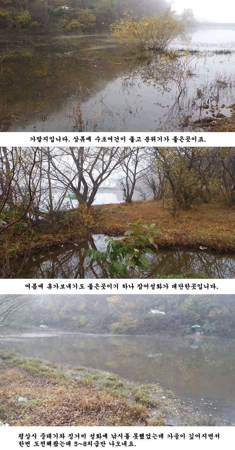 청도권 조황정보입니다 (조황조행기 - 특파원조황)