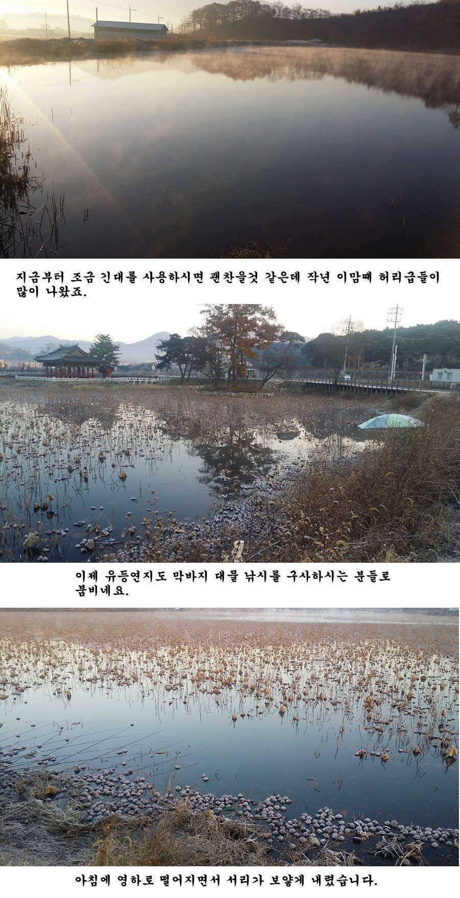 청도권 조황정보입니다 (조황조행기 - 특파원조황)