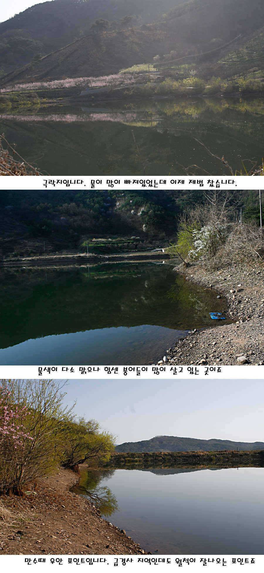 청도권 전반적으로 호조황입니다 (조황조행기 - 특파원조황)