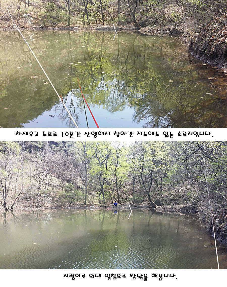 청도권 전반적으로 호조황입니다 (조황조행기 - 특파원조황)