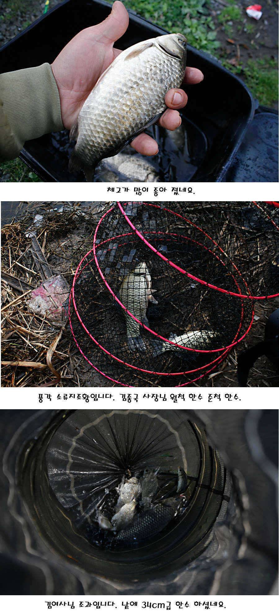 청도권 전반적으로 호조황입니다 (조황조행기 - 특파원조황)