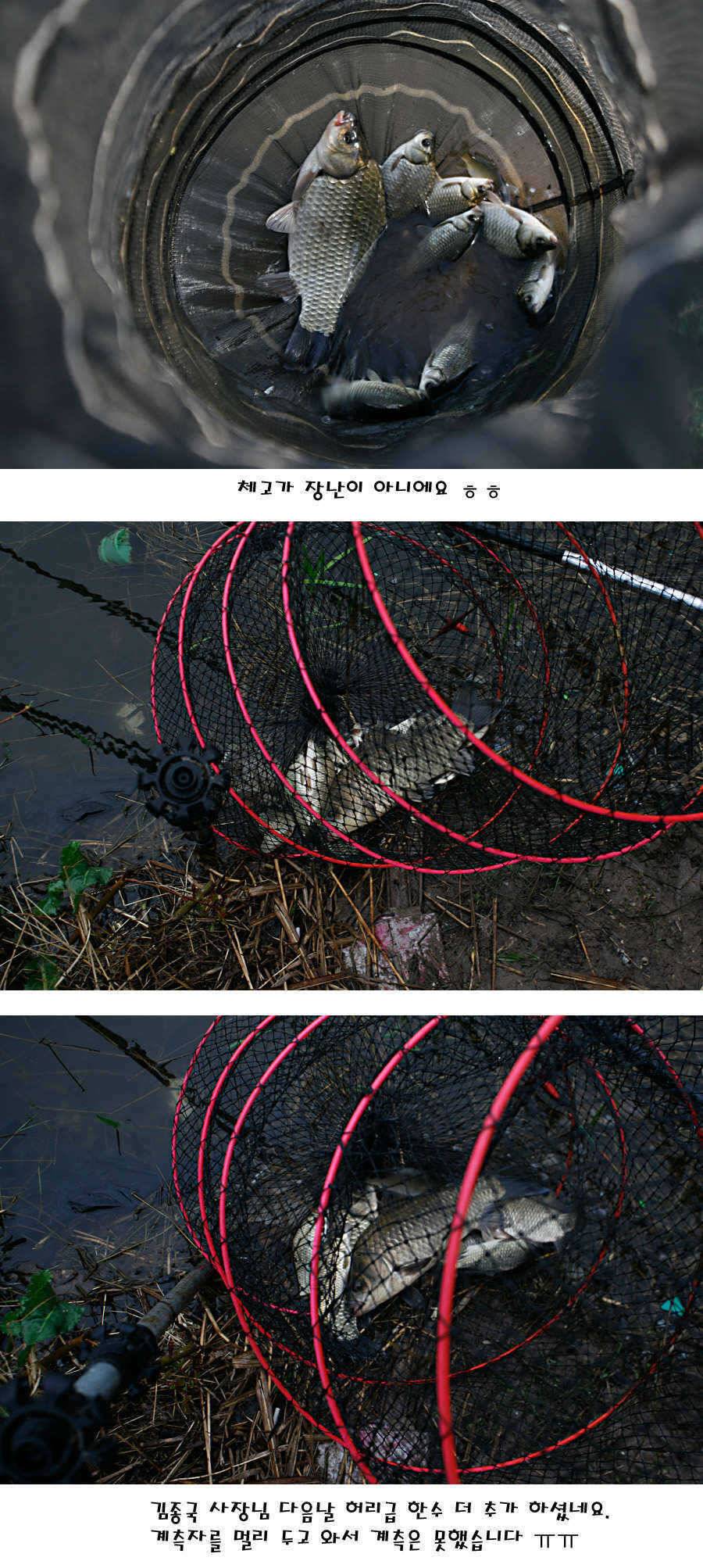 청도권 전반적으로 호조황입니다 (조황조행기 - 특파원조황)