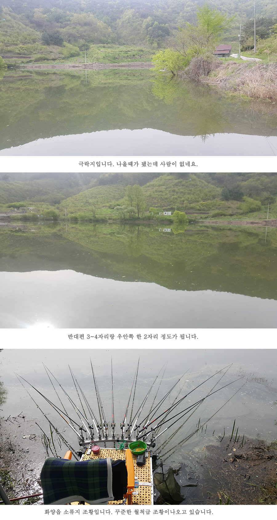 청도권 4짜와 월척급 마릿수 조황이 이어지고 있습니다 (조황조행기 - 특파원조황)