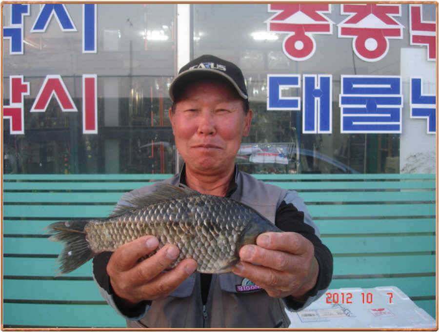 진위천 소식 (조황조행기 - 특파원조황)