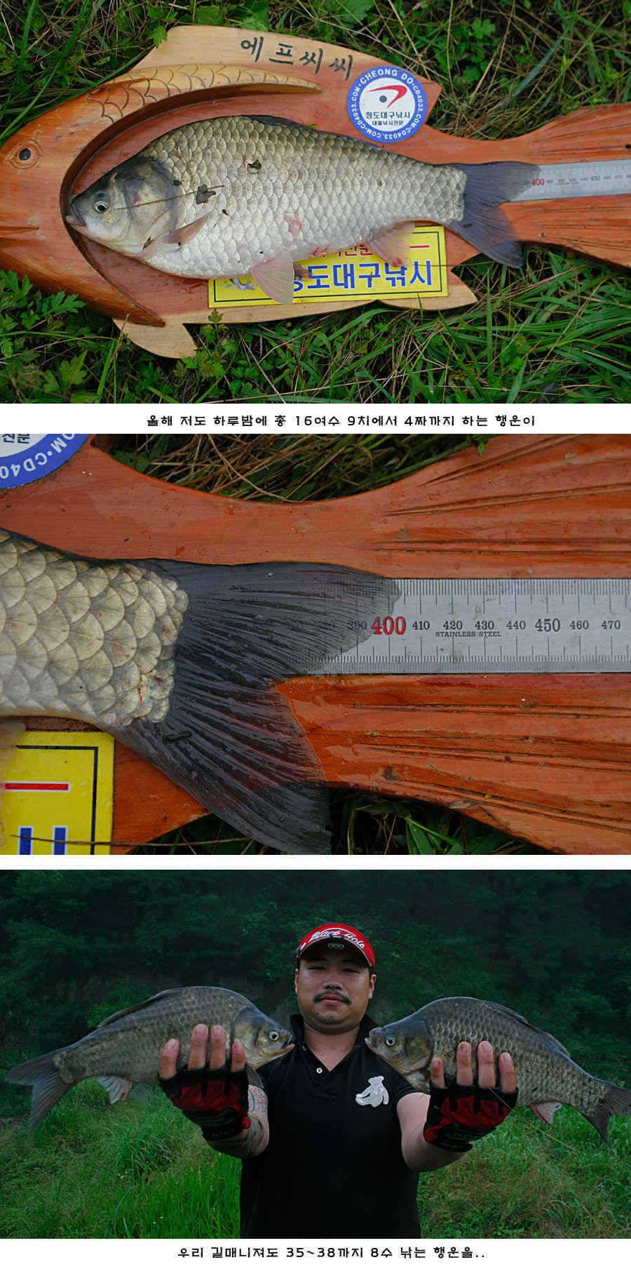 청도권 주말 주중 조황 (조황조행기 - 특파원조황)