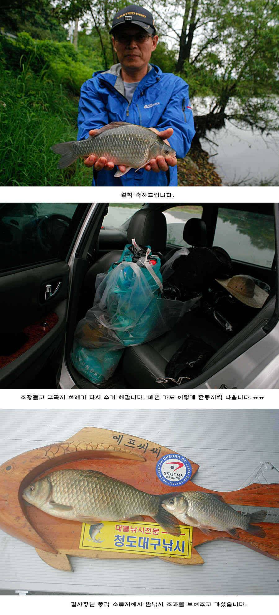 청도권 주중 조황 (조황조행기 - 특파원조황)