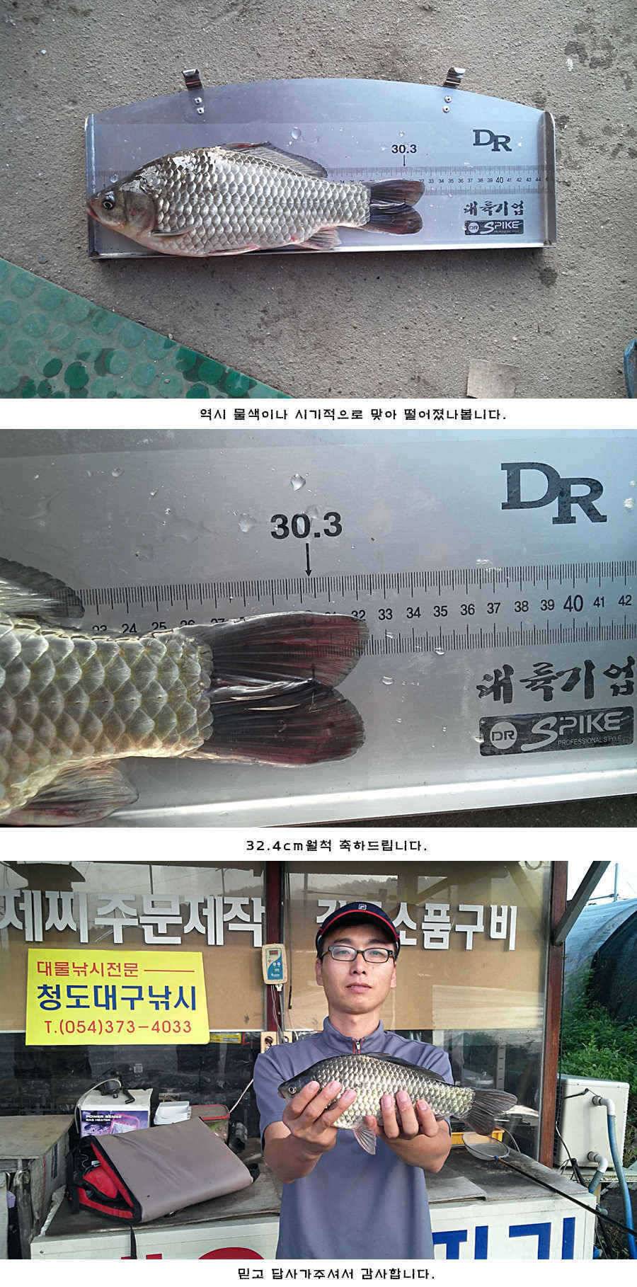 청도권 주중 조황 (조황조행기 - 특파원조황)