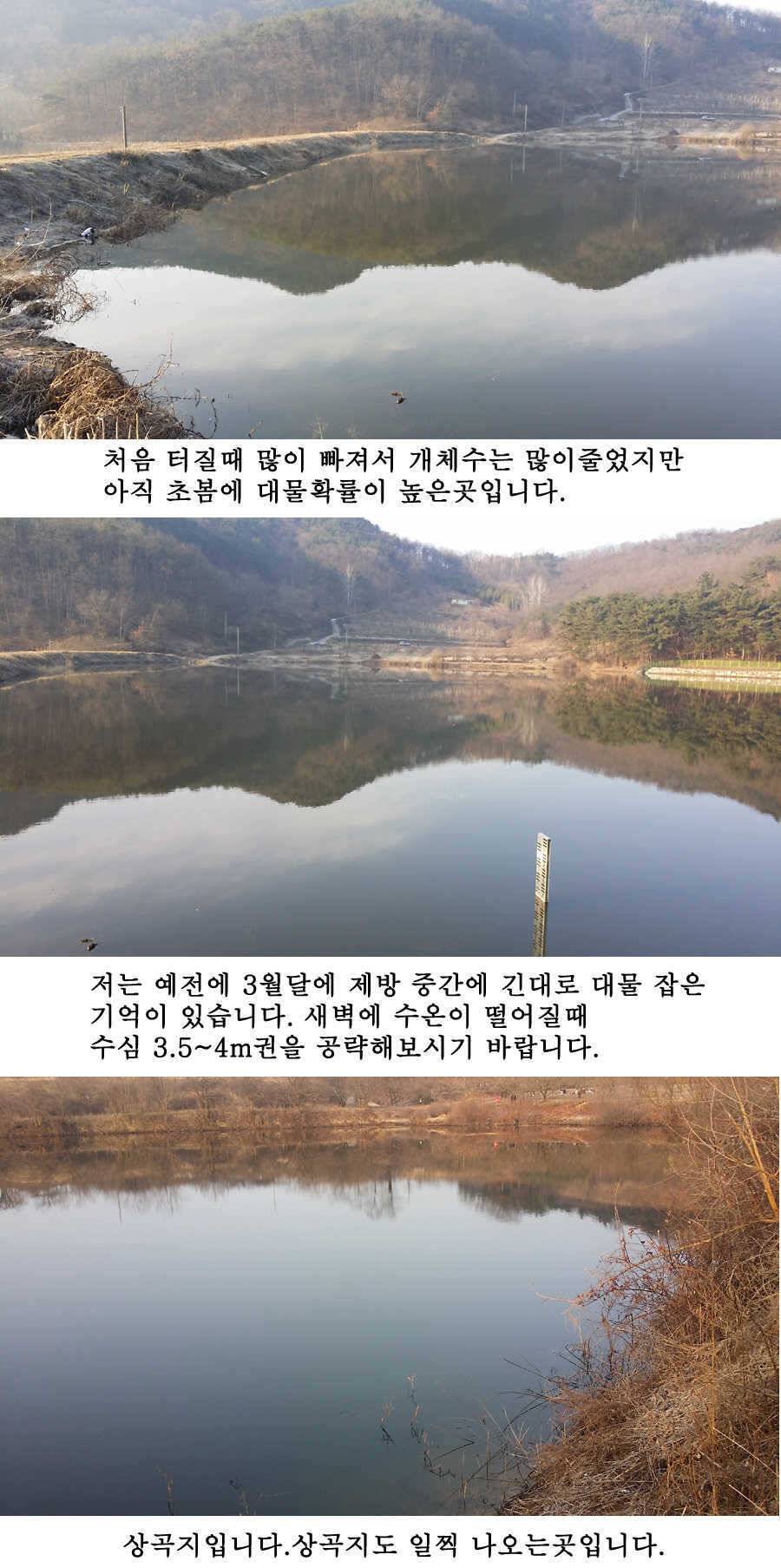 청도권 봄소식입니다 (조황조행기 - 특파원조황)